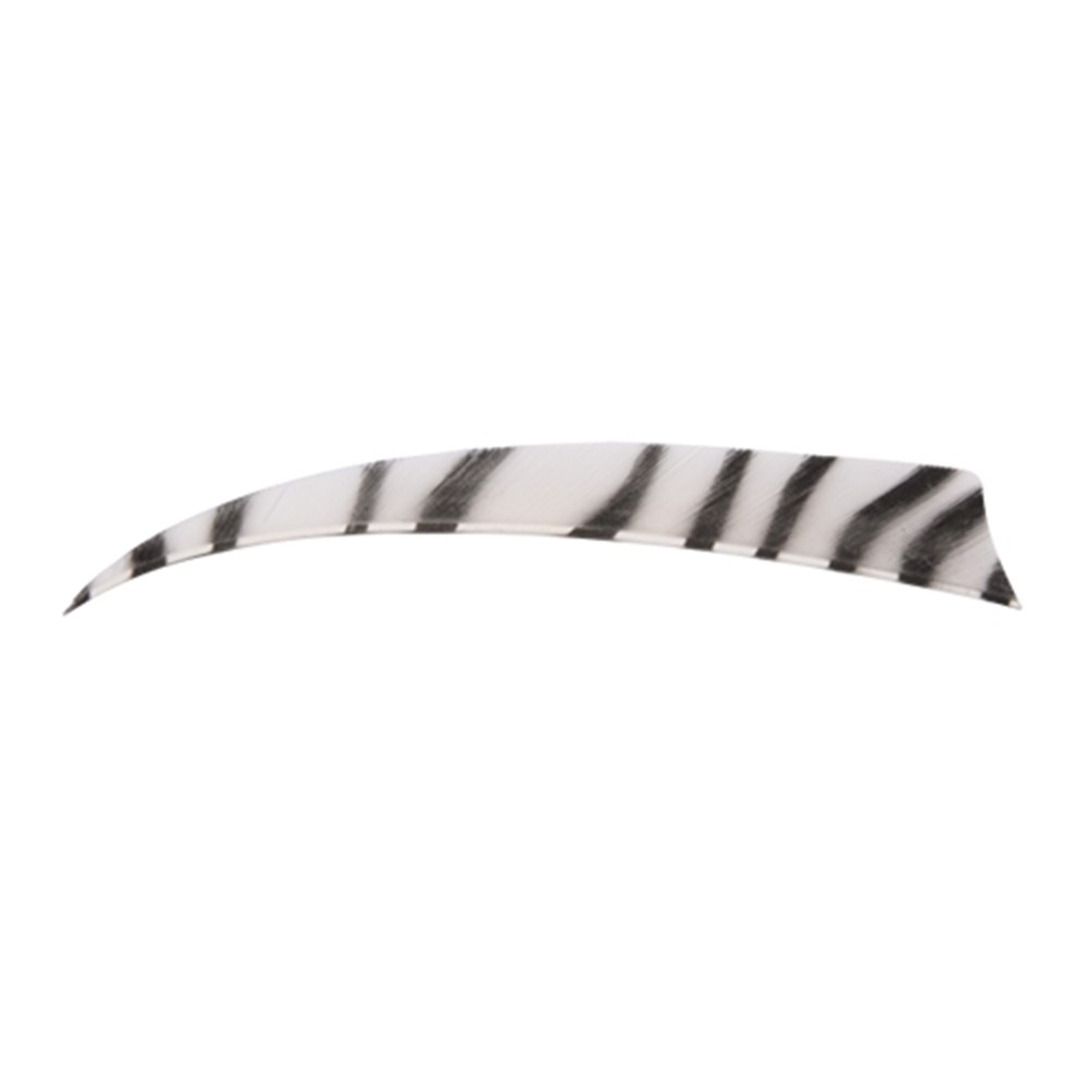 Bearpaw Feather Shield Zebra RW 4 Inch Naturfeder