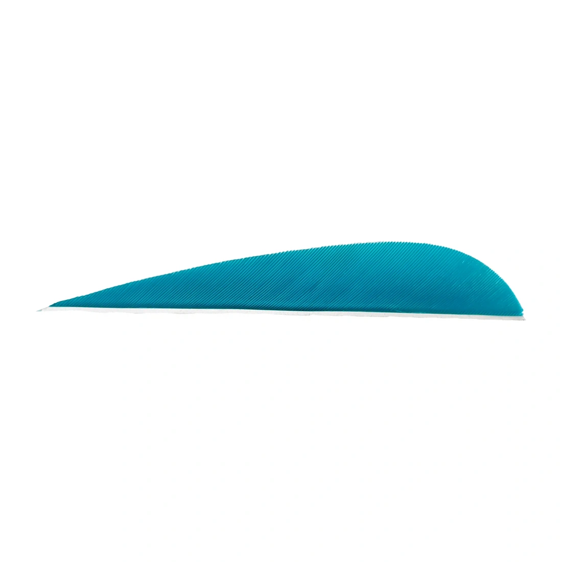 surfboard, blauw, vin, gestreept, vorm