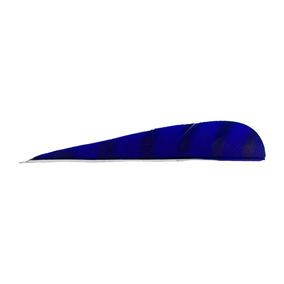 nagellak, nagellak wig, blauw, neon blauw, french tip?