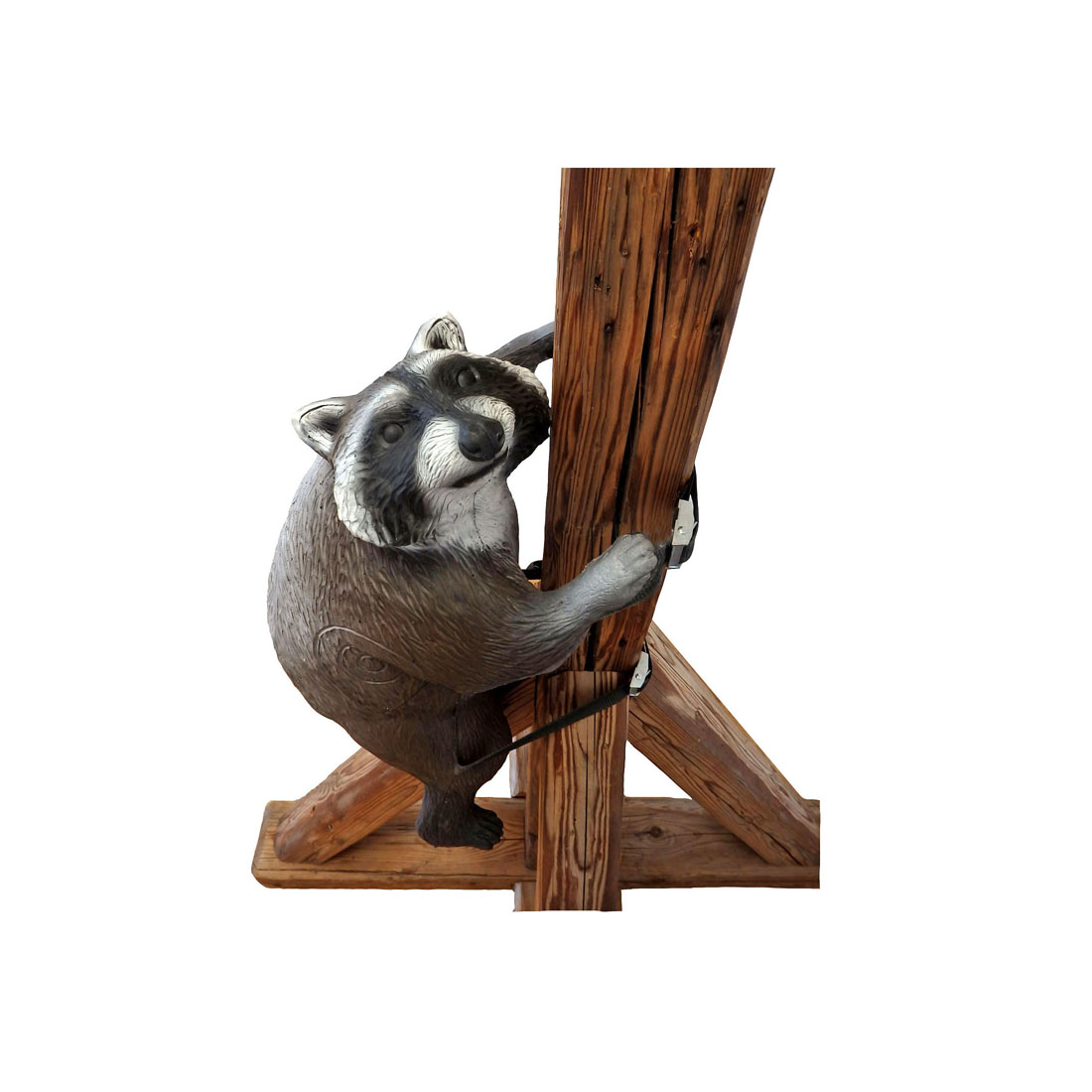 Hout, Dier, Beer, Zoogdier, Wilde dieren