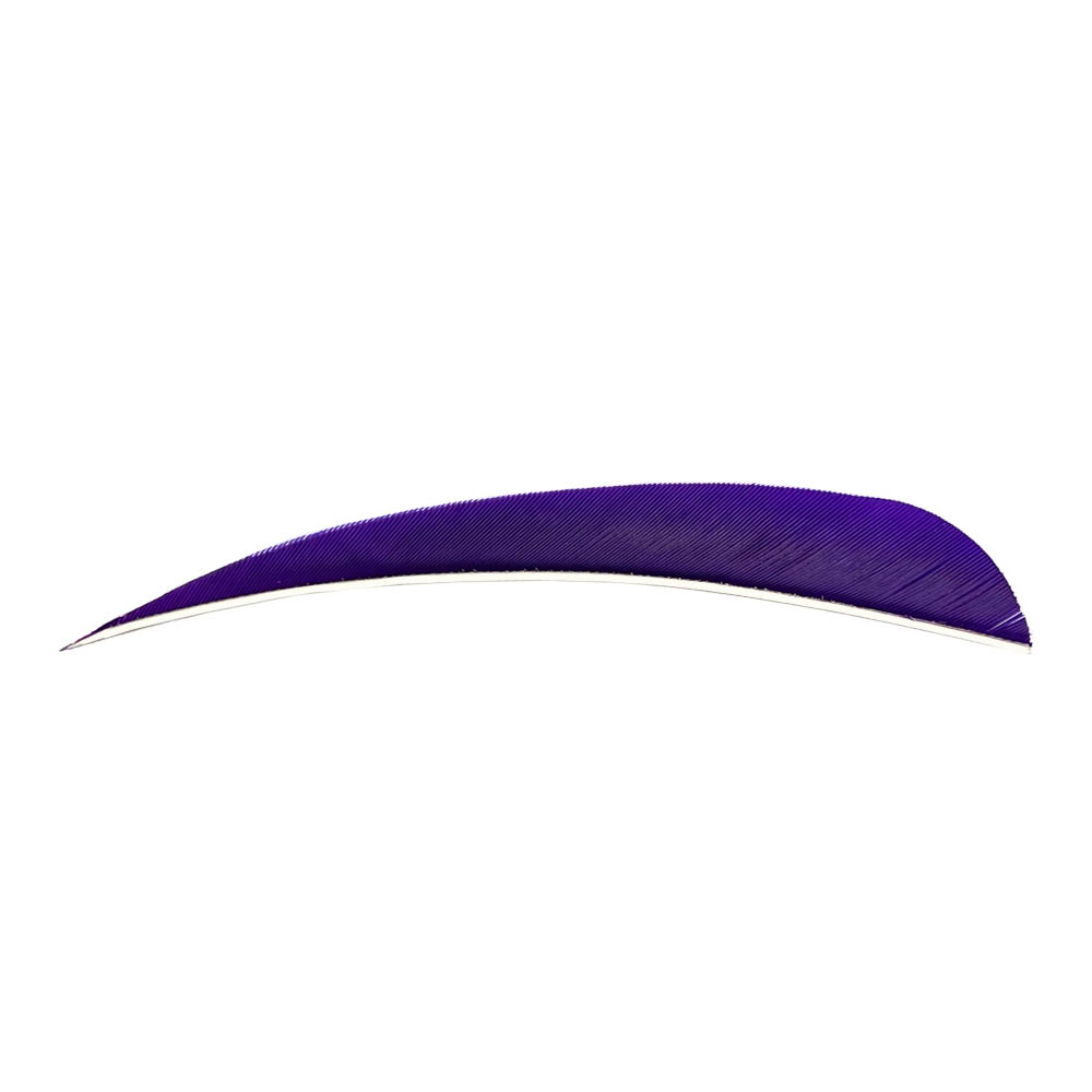 Farbe: Purple