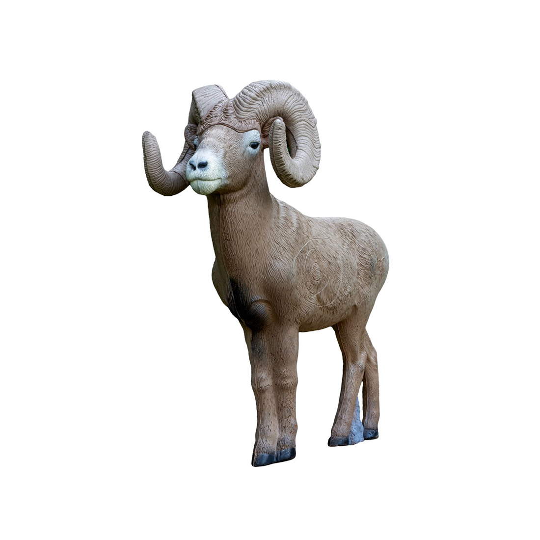 Dier, Vee, Zoogdier, Schapen