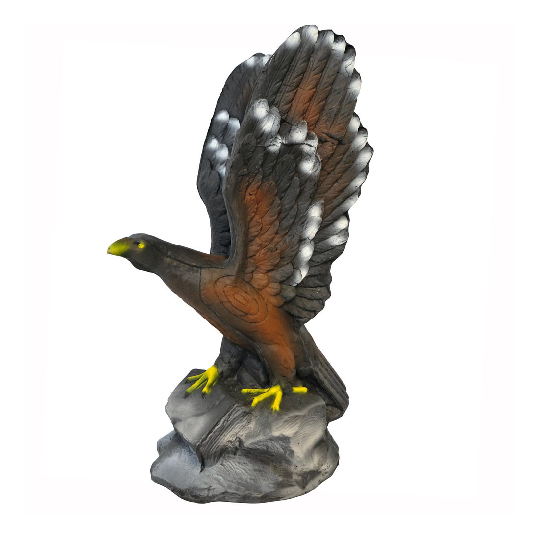 Vogel, Vliegende vogel, Havik, Buizerd, Accipiter