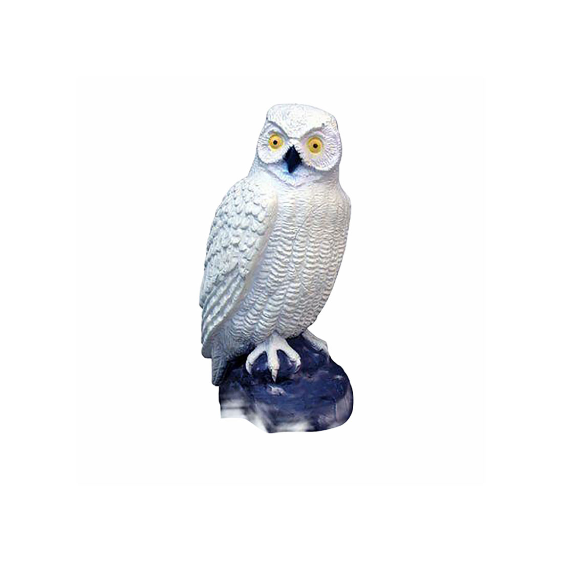 Dier, Vogel, Uil