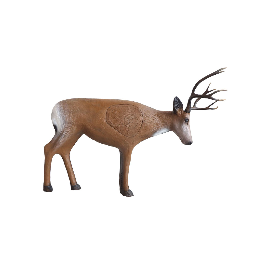 hert, Zoogdier, Wilde dieren, Antilope, Gewei