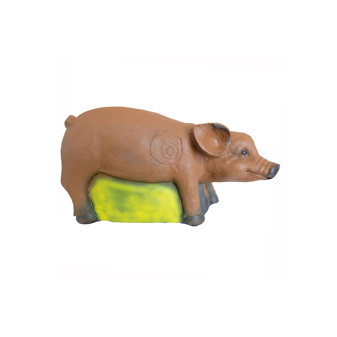 Dier, Zoogdier, Varken