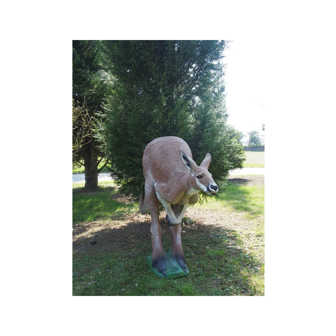 Gras, Boom, Kangoeroe, Dierentuin, Vegetatie