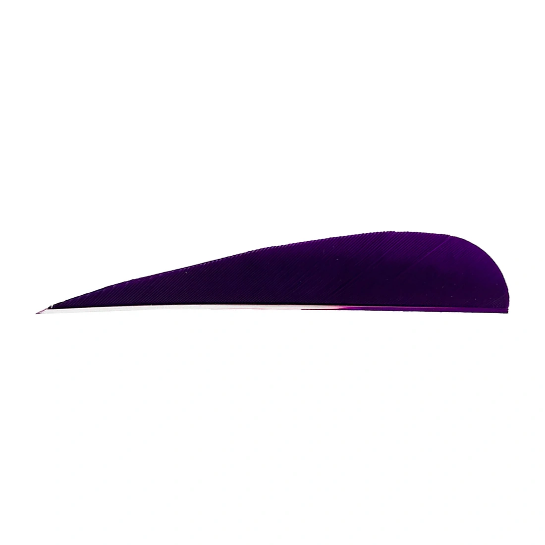 vleugel, dymo-achtig, paardehaak, pluim, violet-achtige