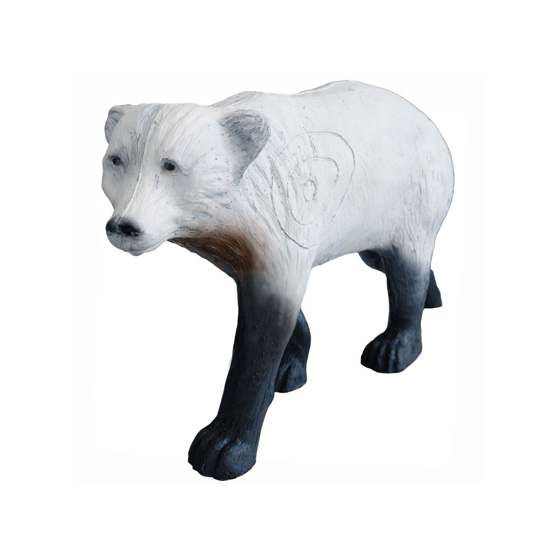 Dier, Beer, Zoogdier, Wilde dieren
