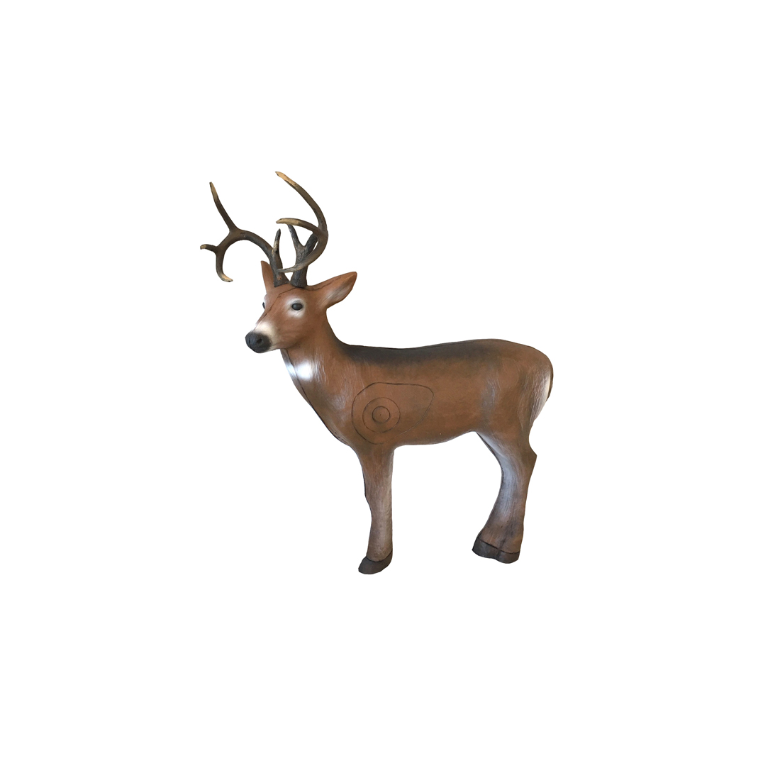Dier, hert, Zoogdier, Wilde dieren, Antilope