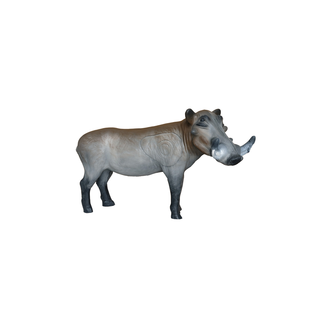 Dier, Zoogdier, Wrattenzwijn, Wilde dieren