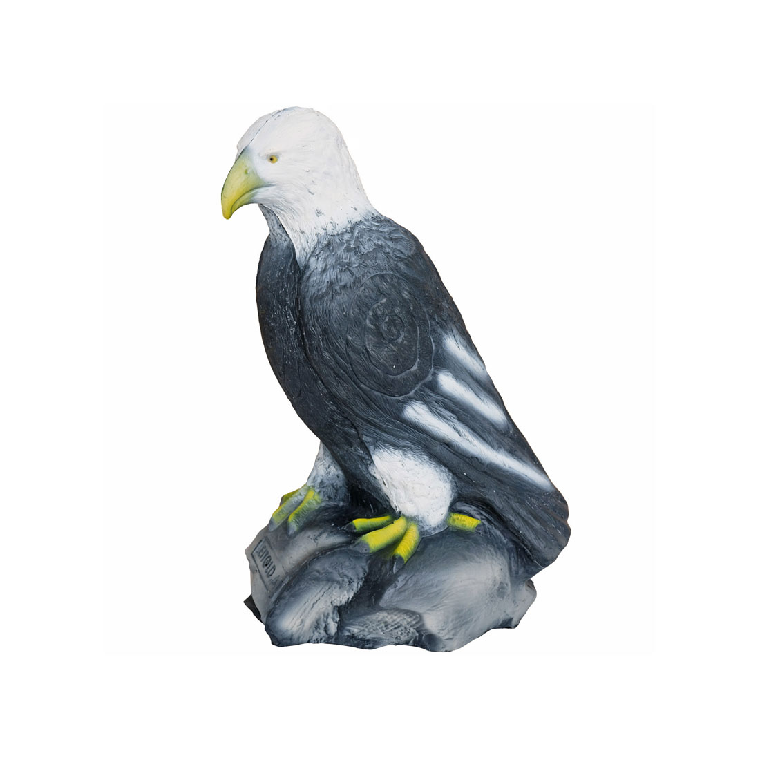 Dier, Snavel, Vogel, Adelaar