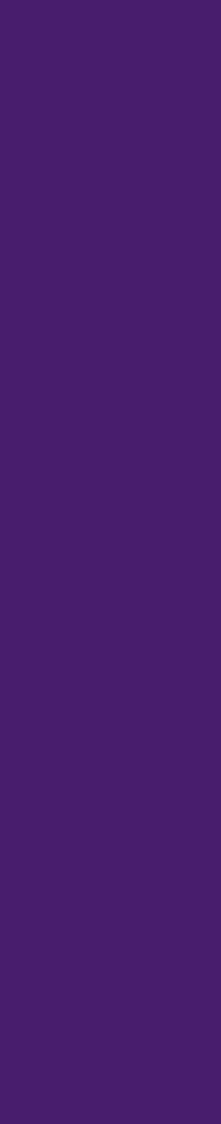DBS Arrow Wrap Purple