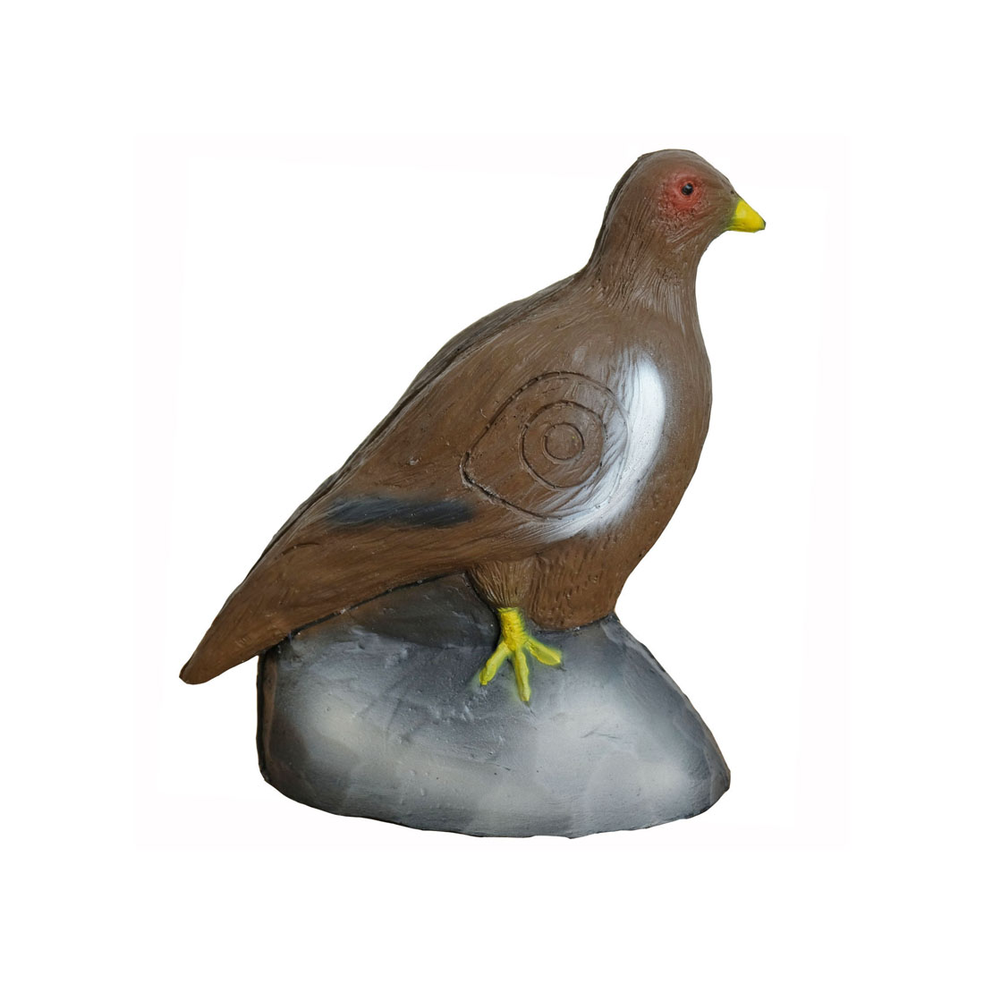 Dier, Vogel