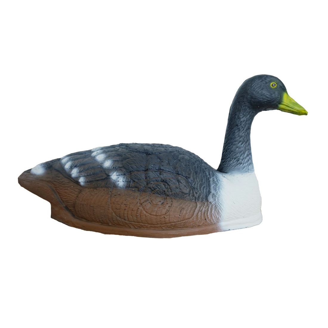 Dier, Anseriformes, Vogel, Watervogels