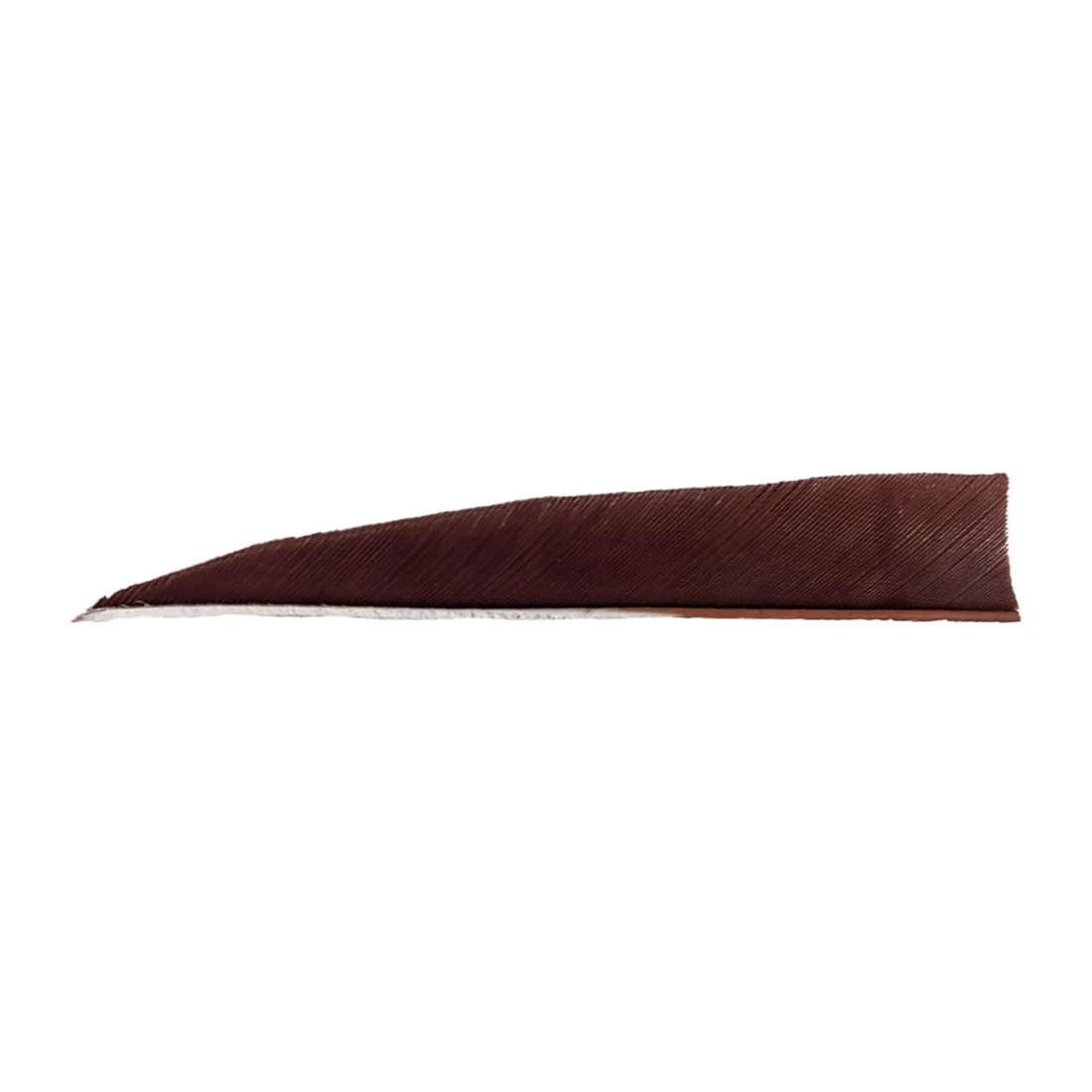 liquid eyeliner, eyeliner, brown, thin strip, makeup product