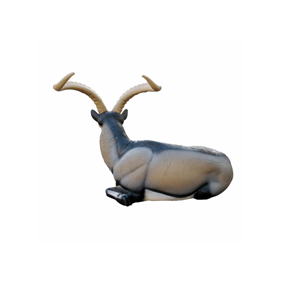 SRT Ziel Iberian Ibex Bedded