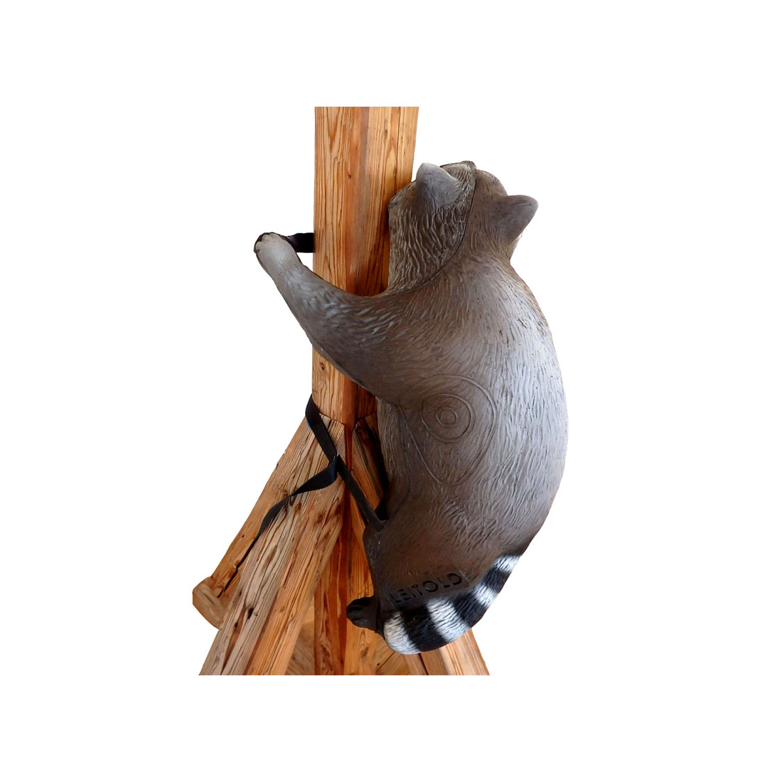 Hout, Dier, Beer, Zoogdier, Wilde dieren