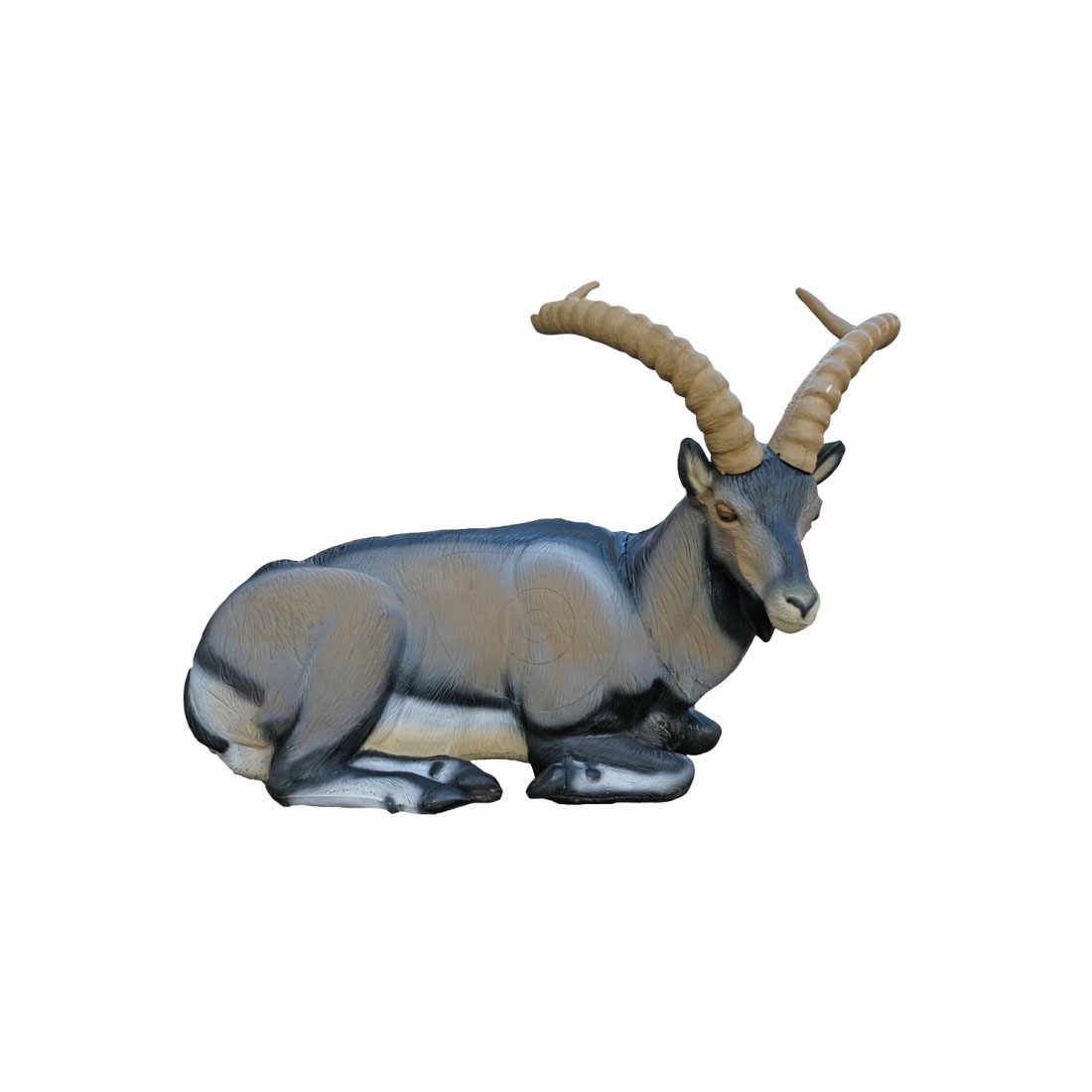 SRT Ziel Iberian Ibex Bedded