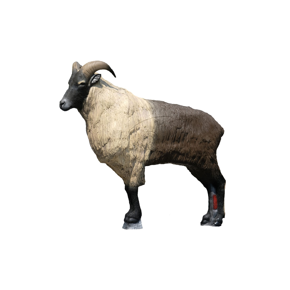 Dier, Vee, Zoogdier, Schapen