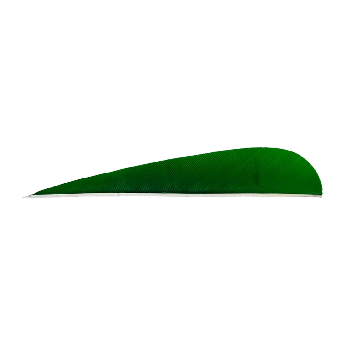 vliegtuigvleugel, groen, vertoning, plastic, model