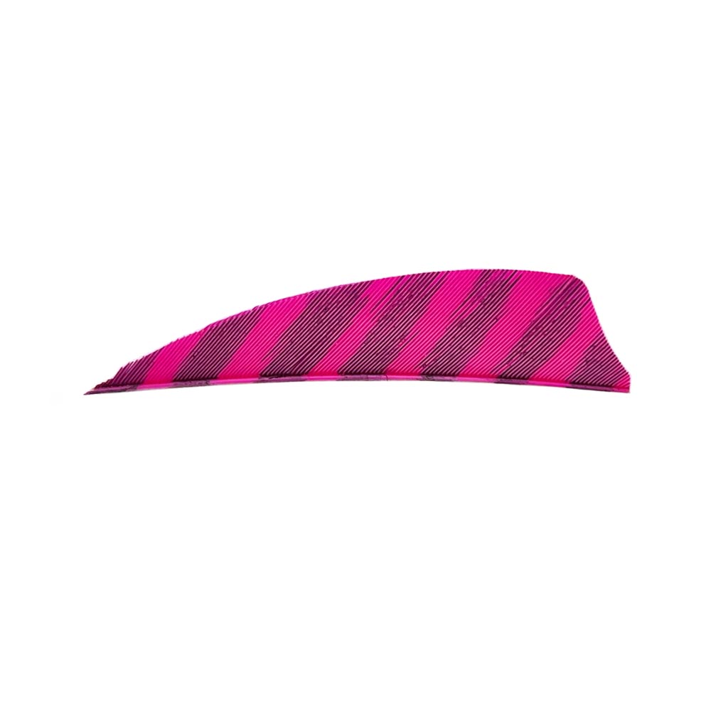 Farbe: Barred Pink Farbe: Barred Pink